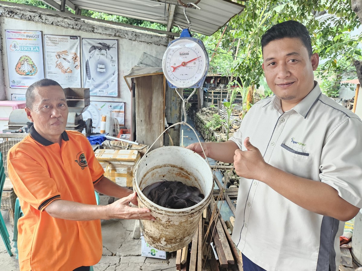 Program budidaya lele oleh FajarPaper